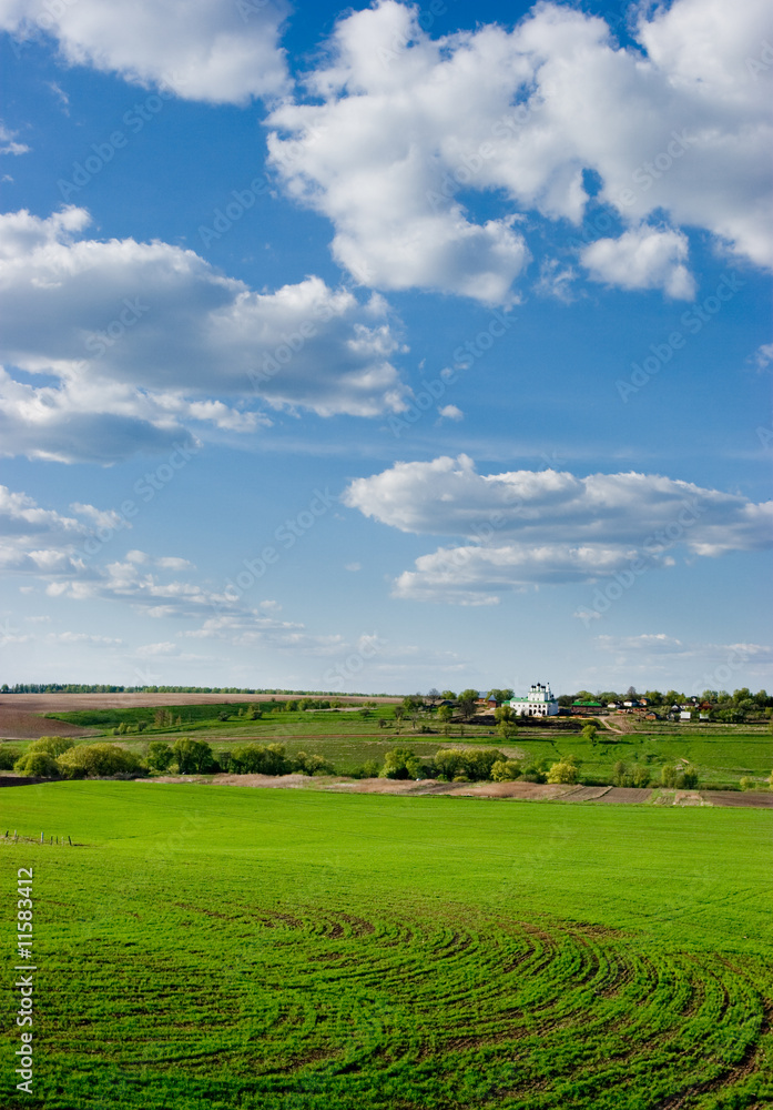 Wall mural Spring landscape