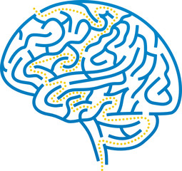 brain maze