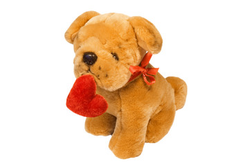 little dog with heart in mouth 3