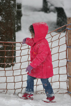 Schneezwerg