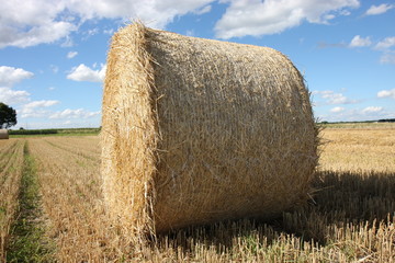 Strohballen
