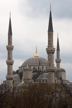 Vertical image of Blue Mosque in winter, Istanbul, Turkey