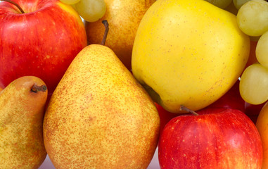 autumn fruits