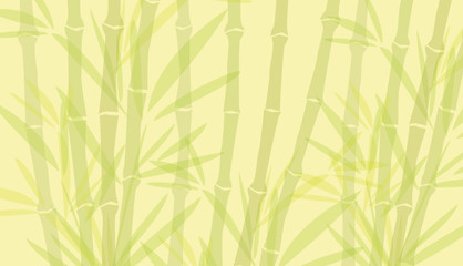 Bambus3