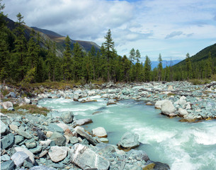 Mountain Altai. The river Akkem.