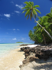 Landscape in Tuvalu