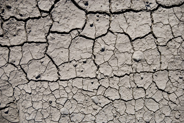 Mud Texture II