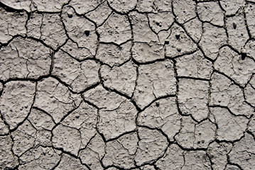 Mud Texture III