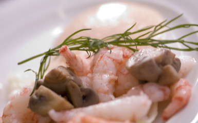 Shrimps