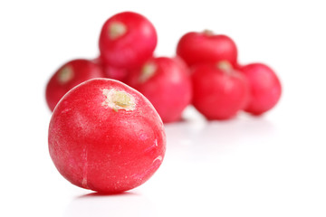 Fresh radish