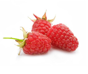 red raspberry fruits isolated on white
