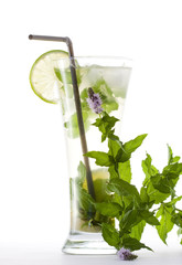 Mojito cocktail