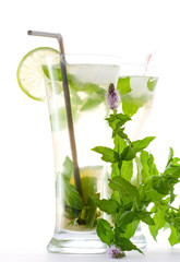 Mojito cocktail