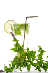 Mojito cocktail