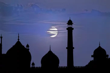  Delhi moskee maan © Daniel BOITEAU