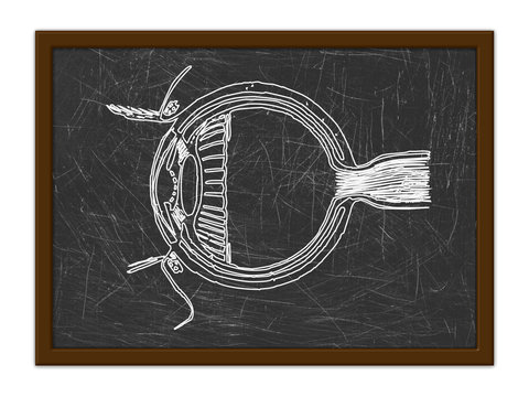 BLACKBOARD - Powered by Adobe