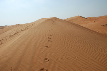 Fototapeta na wymiar Desert Dune