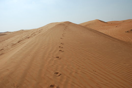 Desert Dune © Mahmoud Rahall