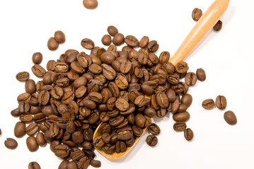 grain of coffee in a cup