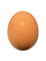 Close up of egg on white background