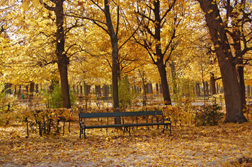 Plakat The bench in autumn park