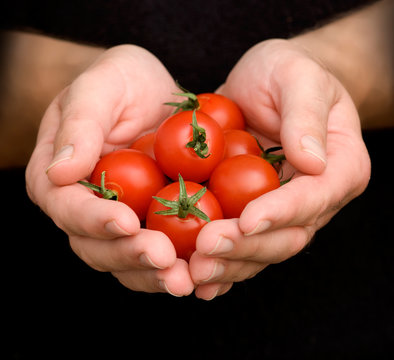 Hands with cherry tomates isolated on black background