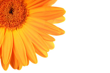 Let the sunshine in