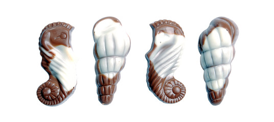 sweet chocolate candies in the form of marine shellfish