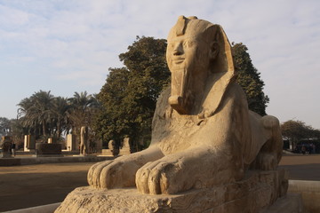 sphinx à tete de pharaon memphis