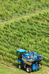 Harvest