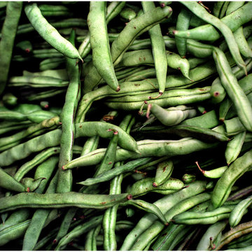 Green Beans Close Up Pattern Shimoga Market Karnataka India