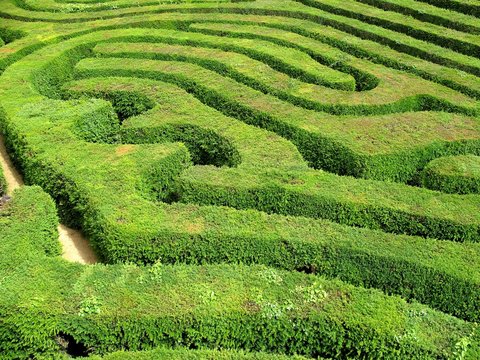 Labyrinth