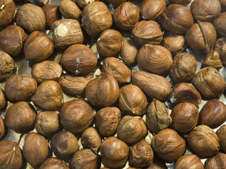 Heap of hazelnut as a background