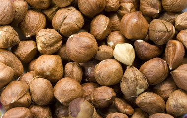 Heap of hazelnut as a background