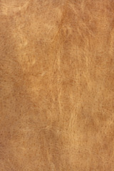 brown leather background