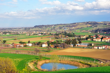 Vineyards near Imola Italy