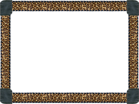 leopard frame