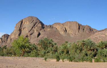 Oasis de Fint - Ouarzazate - Maroc