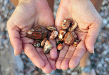 Agates In Hand