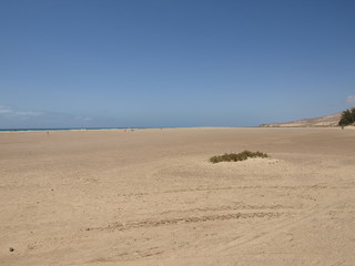 Bei Los Gorriones auf Fuerteventura