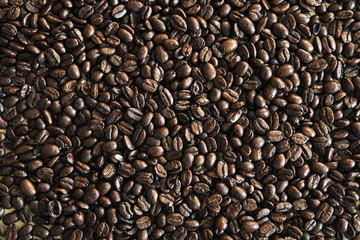 Coffee bean background