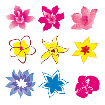 Set of flower design elements