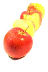 apples on white background 4