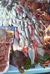 Fische