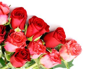 Obraz premium lots of roses