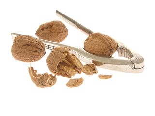 Nussknacker mit Baumnüssen/nutcracker with nuts