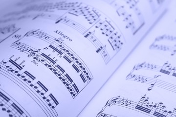 Obraz premium Music notes