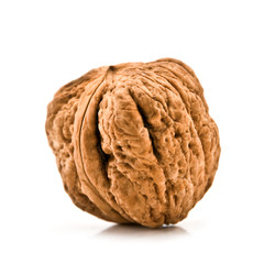 walnut