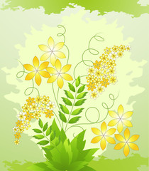 Spring floral  background.