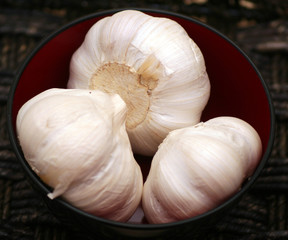 Knoblauch